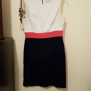 Form Fitting Business Casual Dress